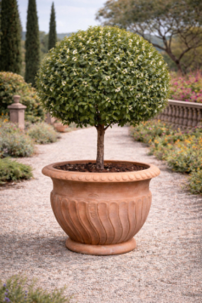 Geschwungene Blumenvase aus Impruneta-Terracotta – elegant, nachhaltig und handgefertigt